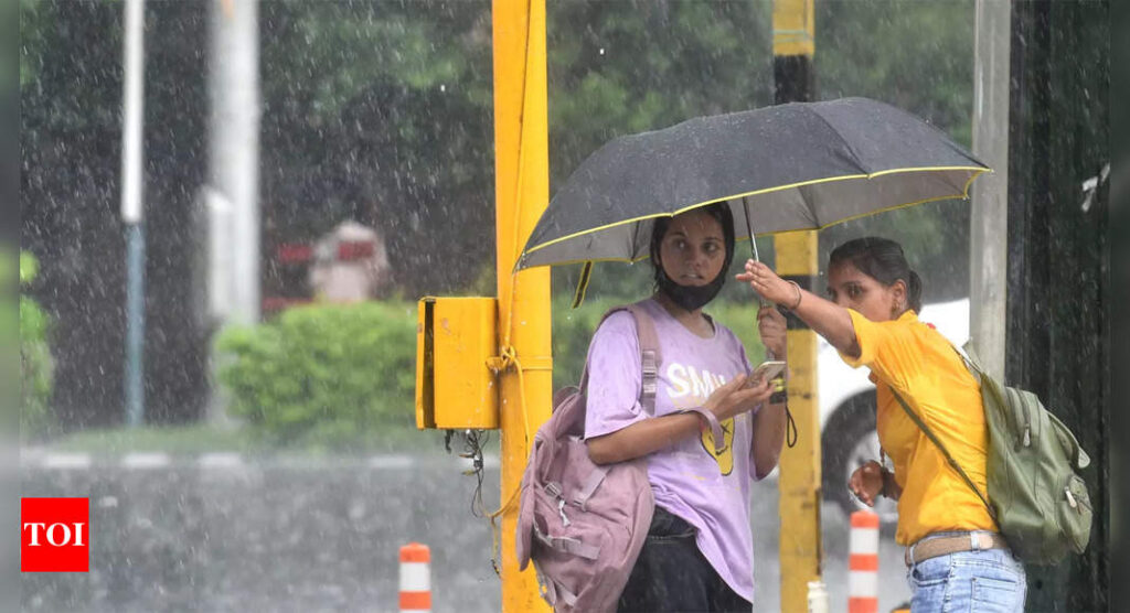 Heavy rains prompt closure of schools and colleges in Dakshina Kannada