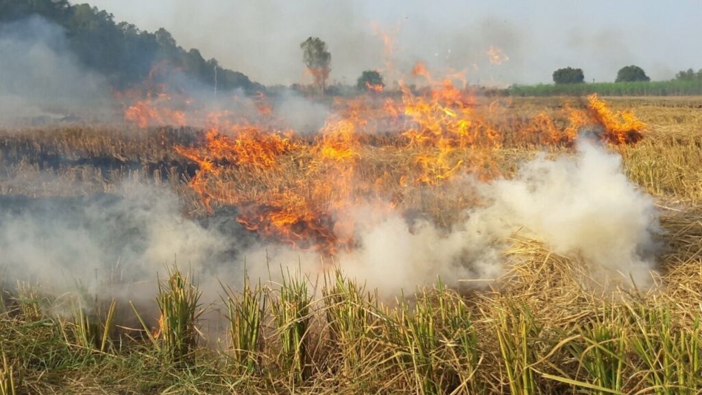 A step forward in stubble fight