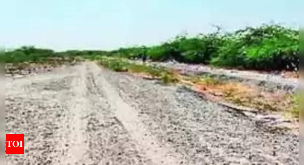 NIT Trichy to verify DPR of semi-ring road