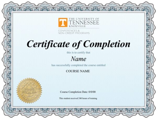 University of Tennessee Certification What After College