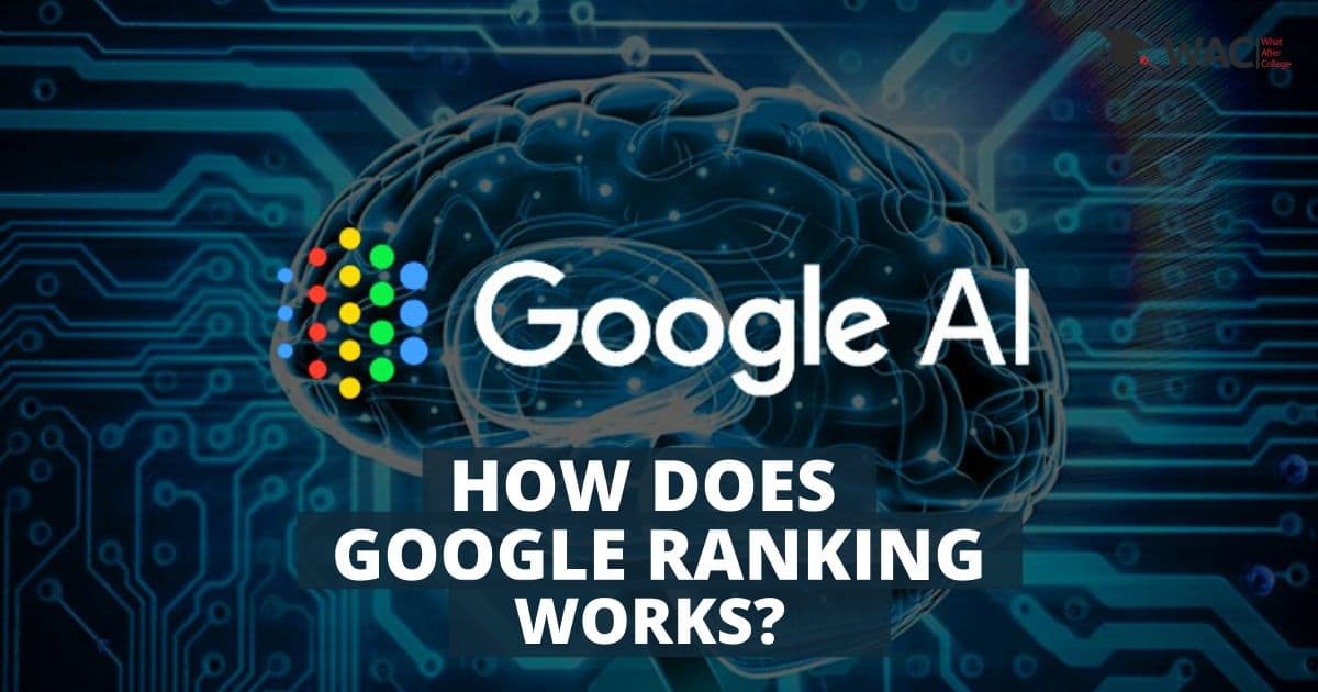 How Does Google Ranking Works?