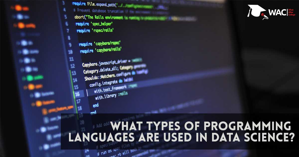 What types of Programming Languages are used in Data Science?