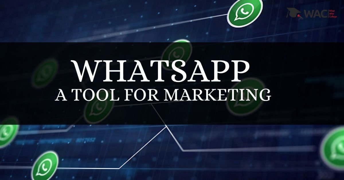 How to Use WhatsApp as a Marketing Tool?