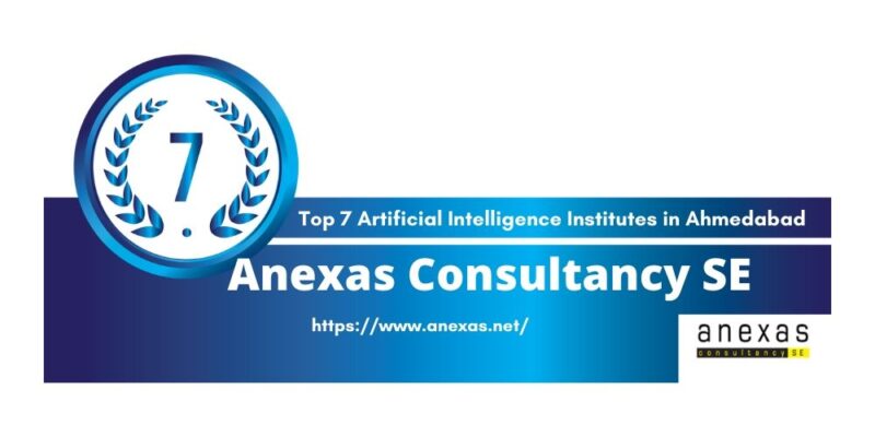 Anexas Consultancy SE