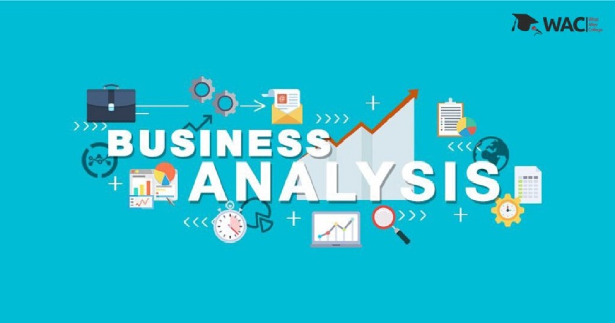 Skills Required Business Analytics | What After College