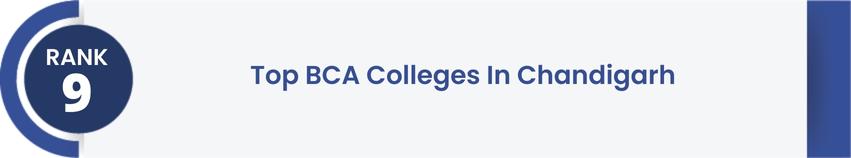 What After College