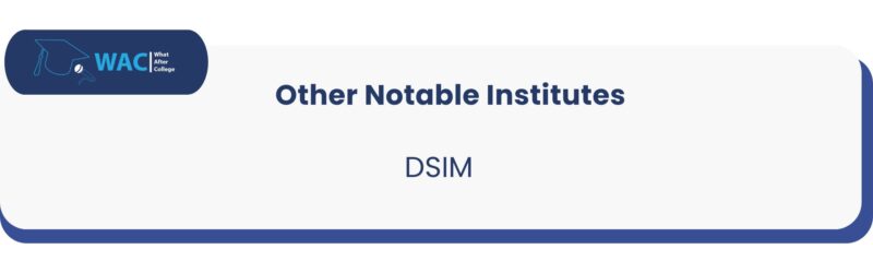 DSIM