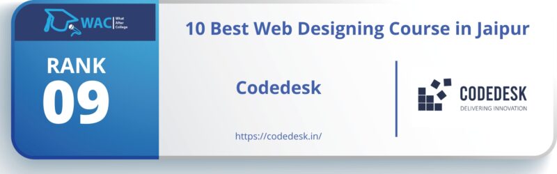 web designing course in jaipur