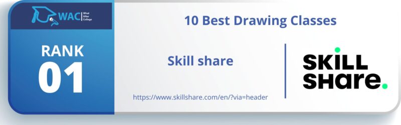 professional drawing classes
