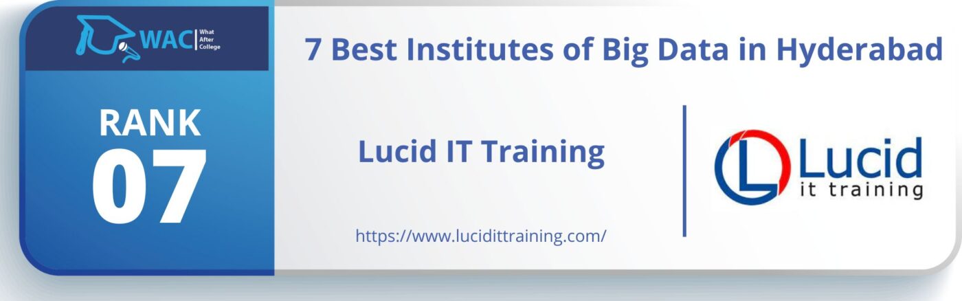 Lucid IT Training
