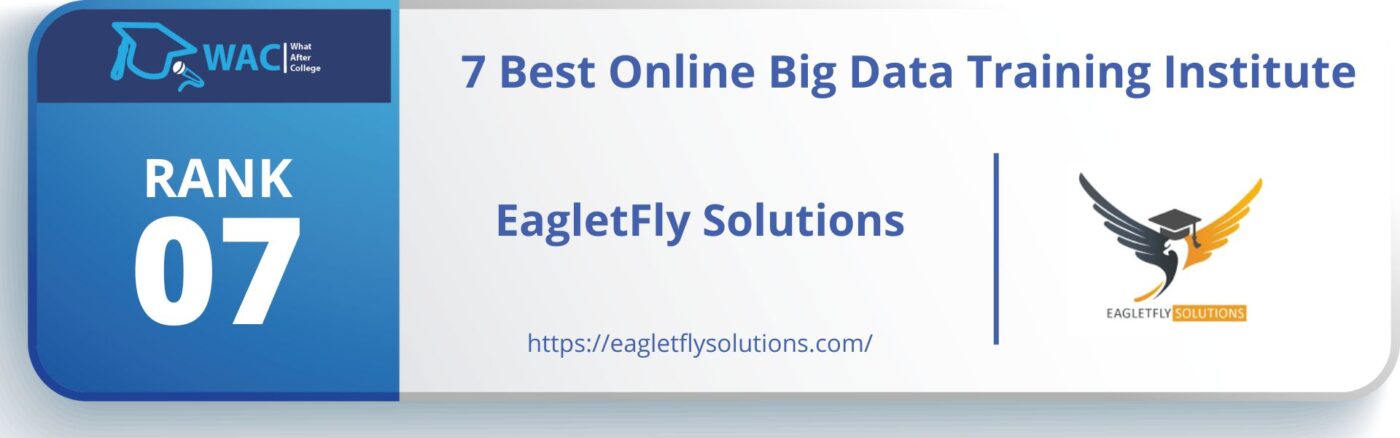 EagletFly Solutions